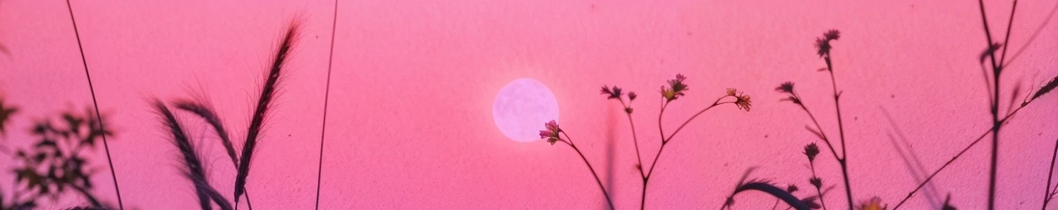 sudhir_ profile banner image