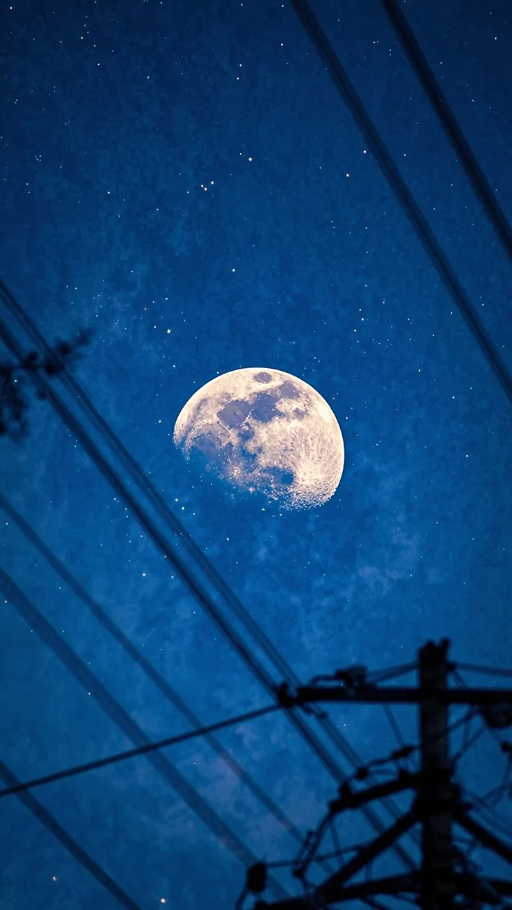 🌕✨ Moon Magic on the Wires  Aesthetic Vibes ✨🌙
