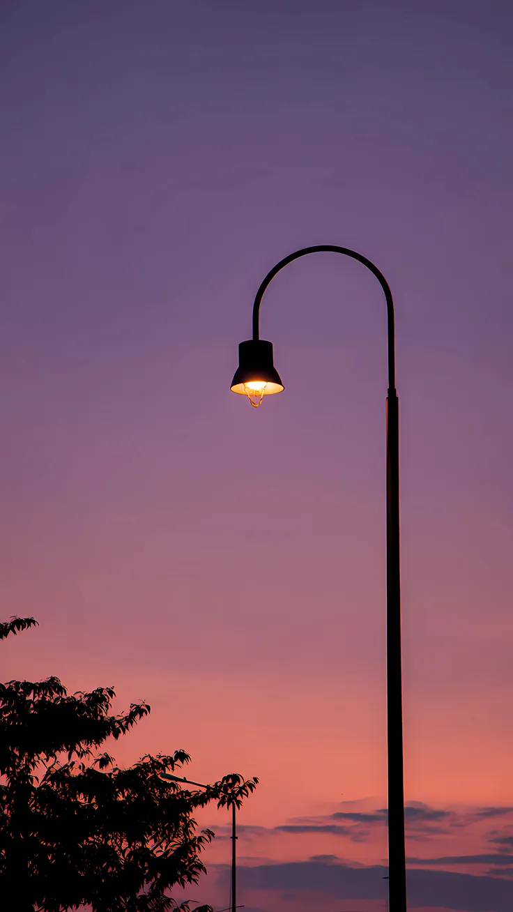 Silent Bloom Between Sky and Soul