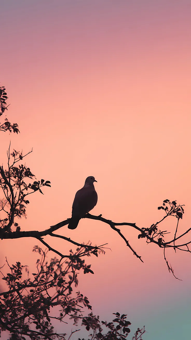 Aesthetic Sunset Silhouette Wallpaper