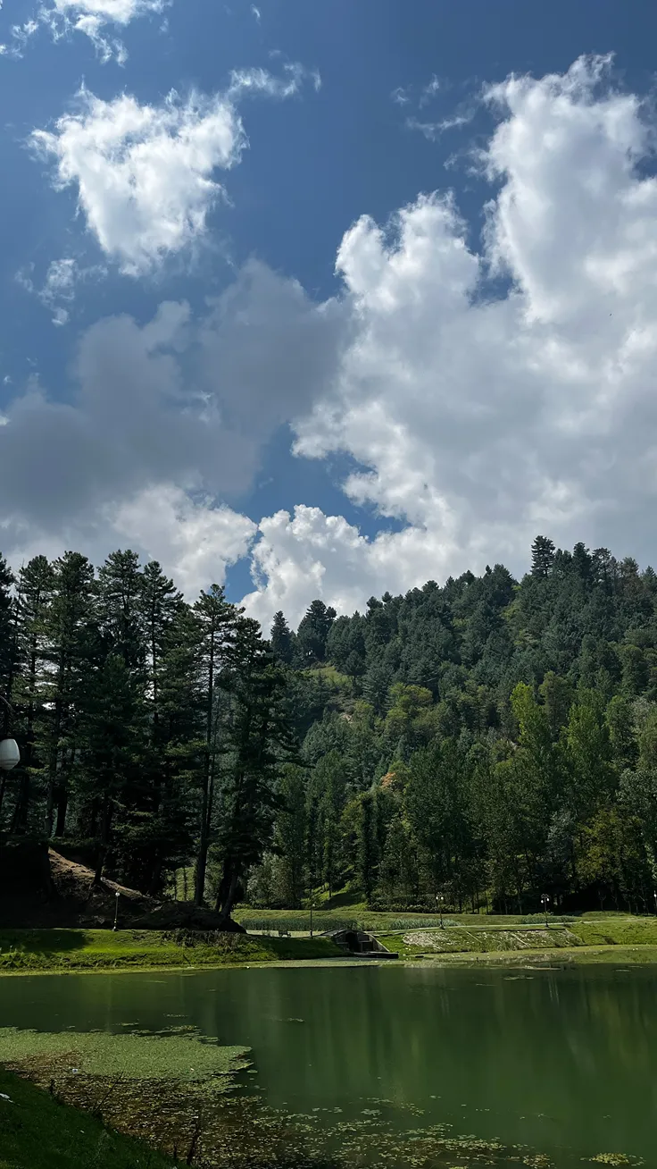Beautiful Lake With Green Background