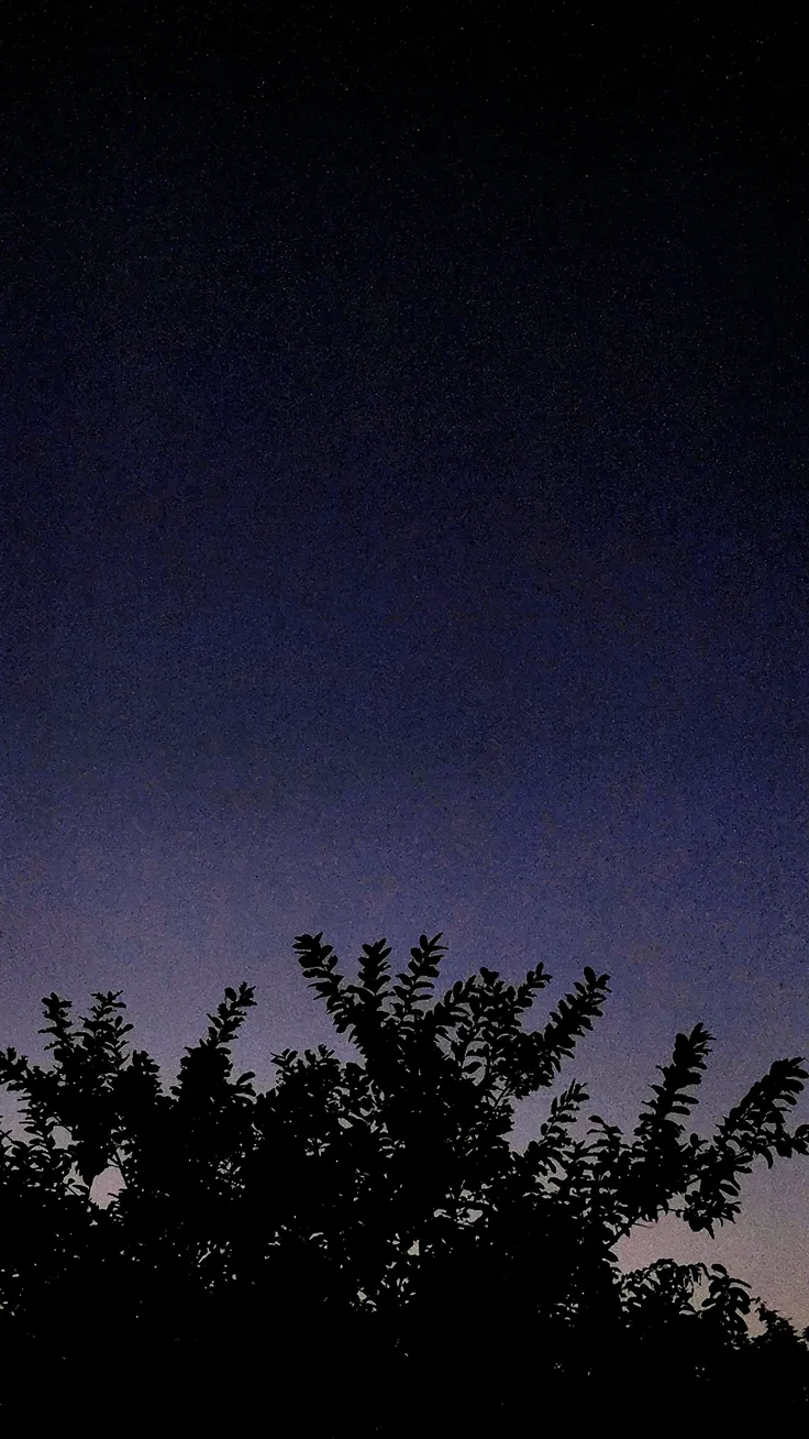 Whispers of the Quiet Night