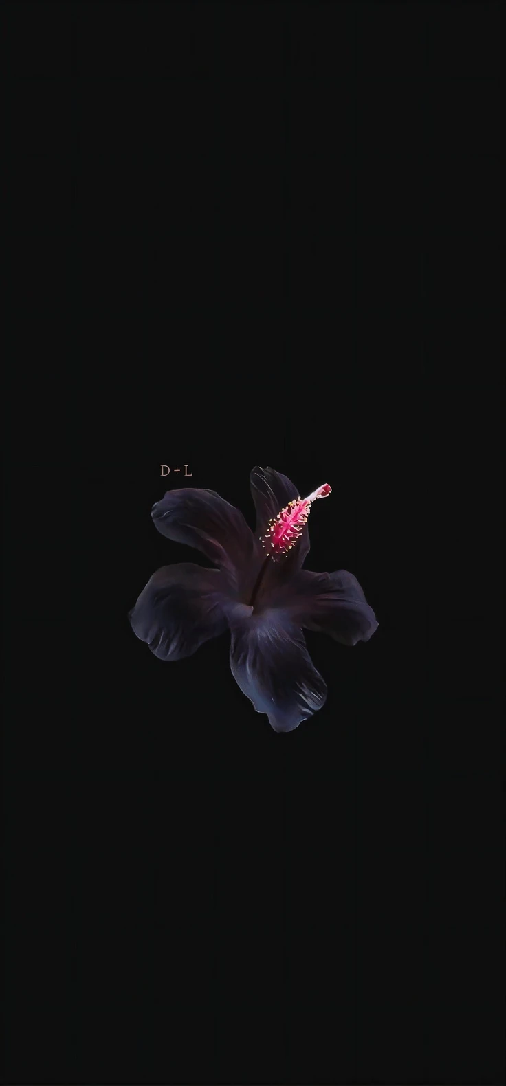 Dark flower full hd android wallpaper