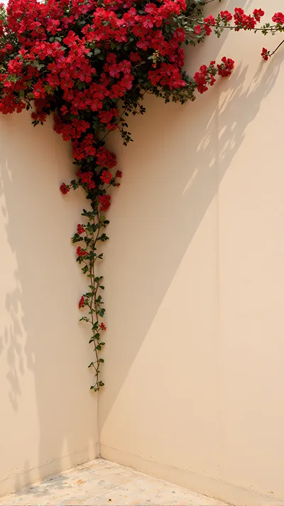 nature wallpaper download