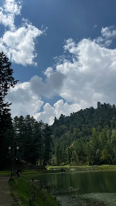 Beautiful Lake With Green Background