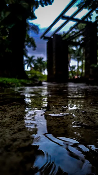 Rainy Path to the Garden Pergola