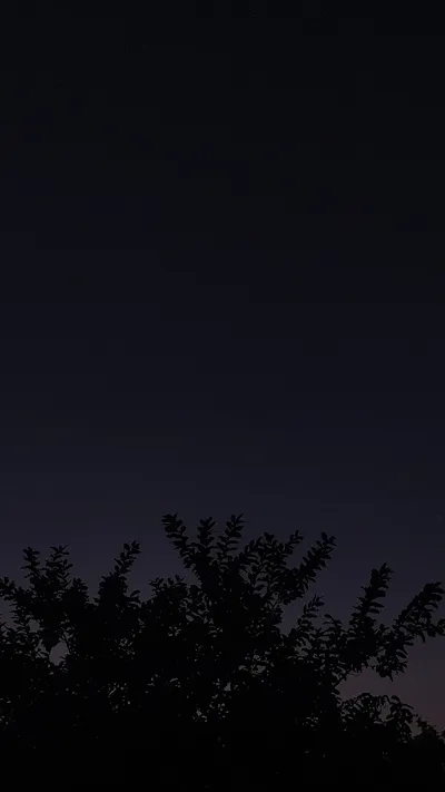A night to the sky - night sky 4k wallpaper