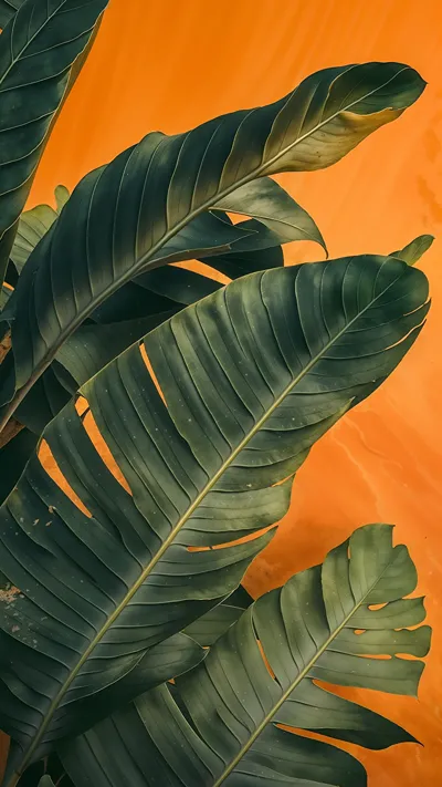 Tropical Banana Leaves 4K Wallpaper Green Leaves Orange Background Aesthetic